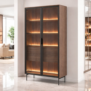 Vetrina Con 2 Ante In Vetro 3 Ripiani e 2 Cassetti Interni Design Moderno con Led Integrato 88.2 x 38 x 193.8 cm Rovere Scuro