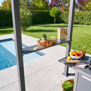 Abri à barbecue Grily gris graphite acier et aluminium