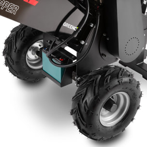 Biotrituradora con motor de gasolina - GREENCUT GE420XE