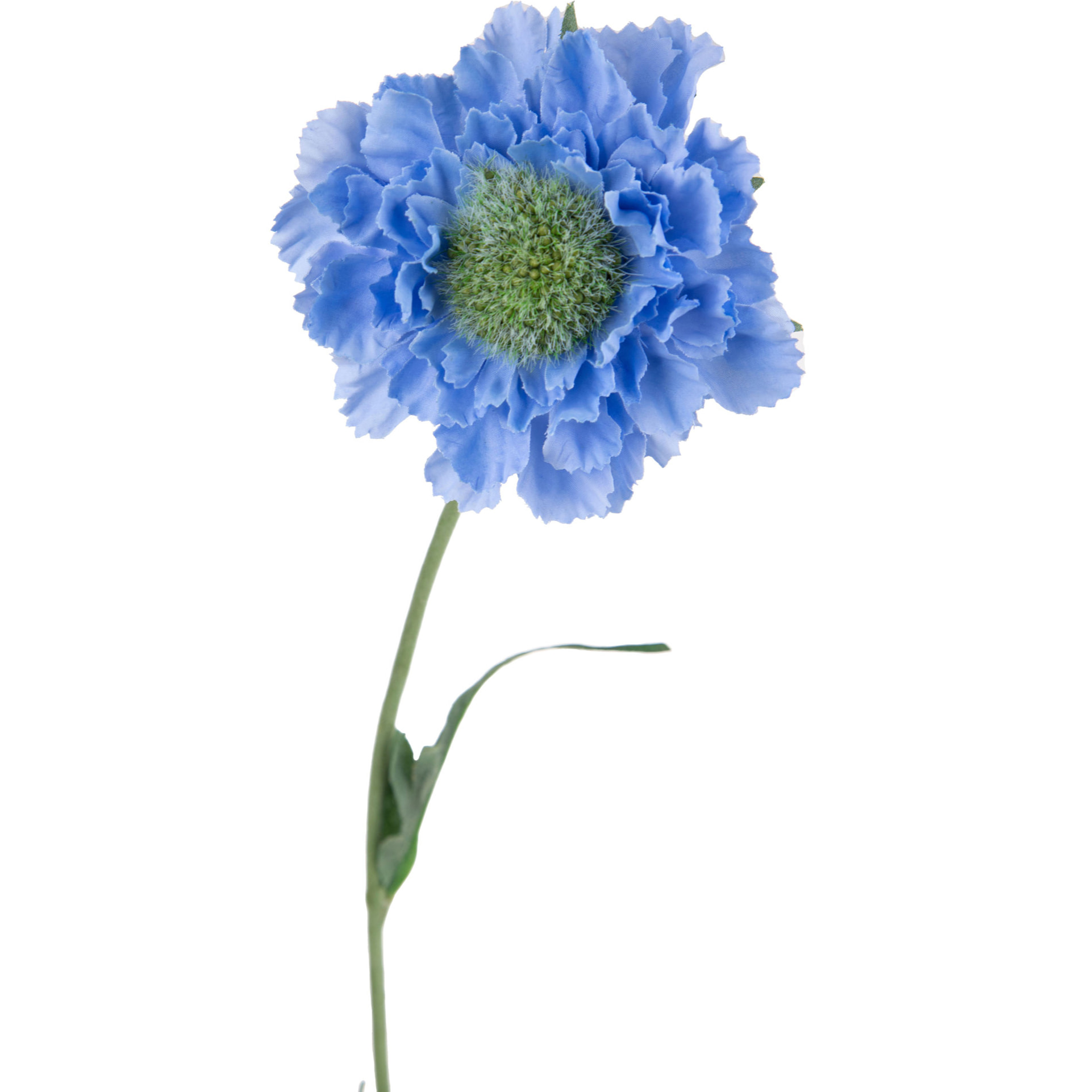 Fiore Di Scabiosa Con 3 Diramazioni. Altezza 64 Cm - Pezzi 6 - 14X64X12cm - Colore: Blu - Bianchi Dino - Fiori Artificiali