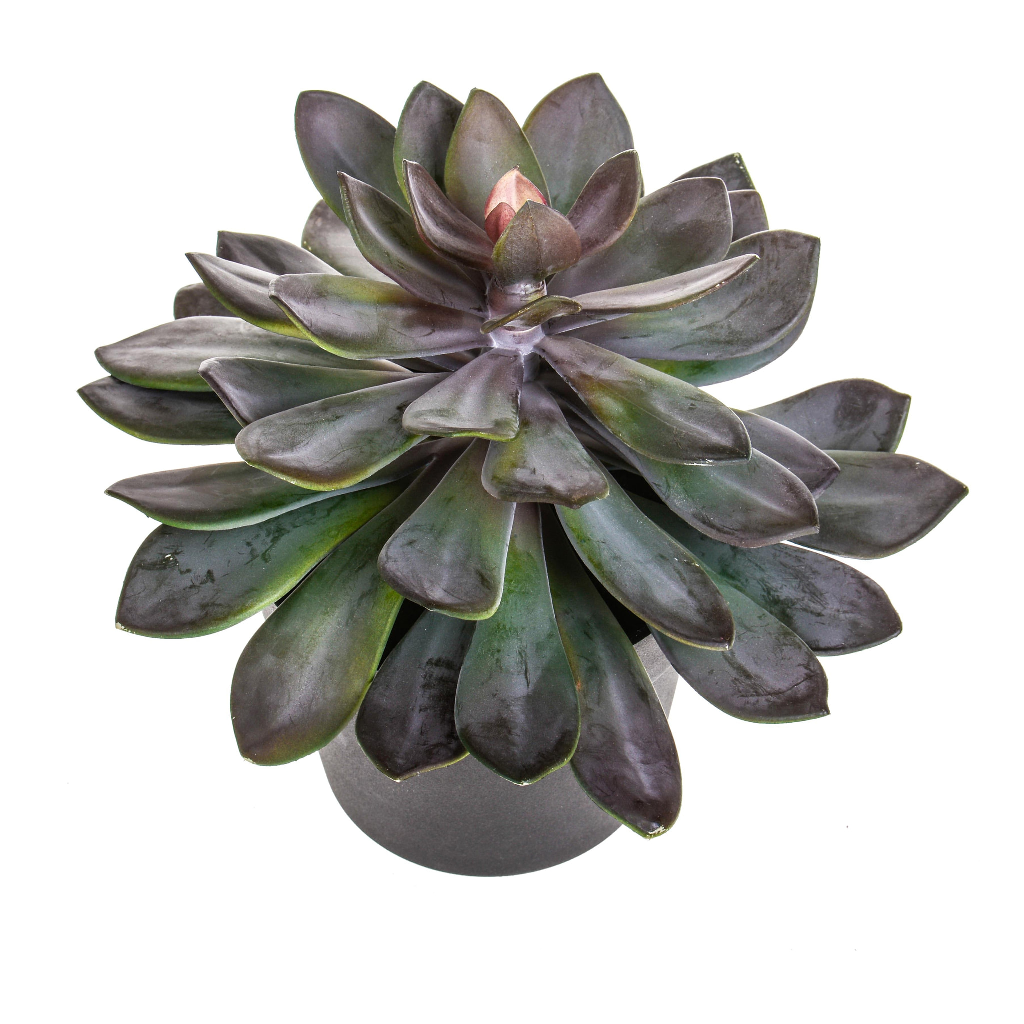 Succulent Con Vaso. Altezza 28 Cm - Pezzi 1 - 30X28X30cm - Colore: Incolore - Bianchi Dino - Piante Artificiali