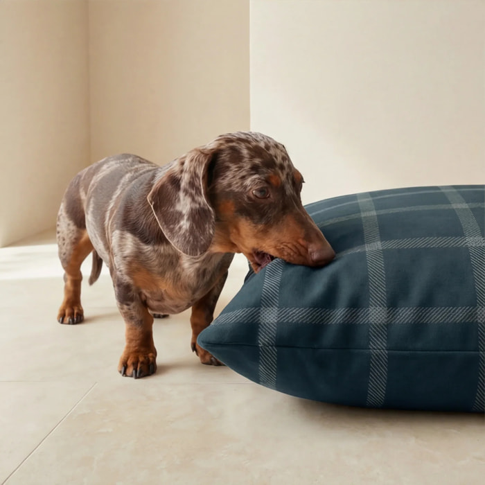 Housse antitaches pour lit pour animal Willy Marine
