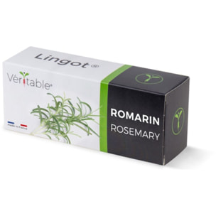 Recharge jardin d'intérieur VERITABLE romarin