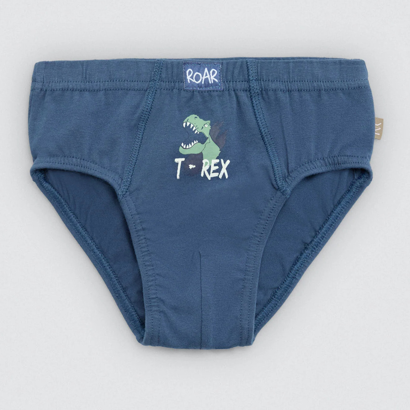 Confezione da 2 slip in cotone per bambini con stampa di dinosauri