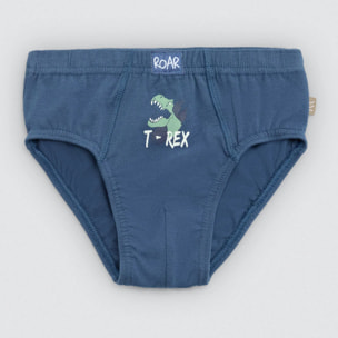 Confezione da 2 slip in cotone per bambini con stampa di dinosauri