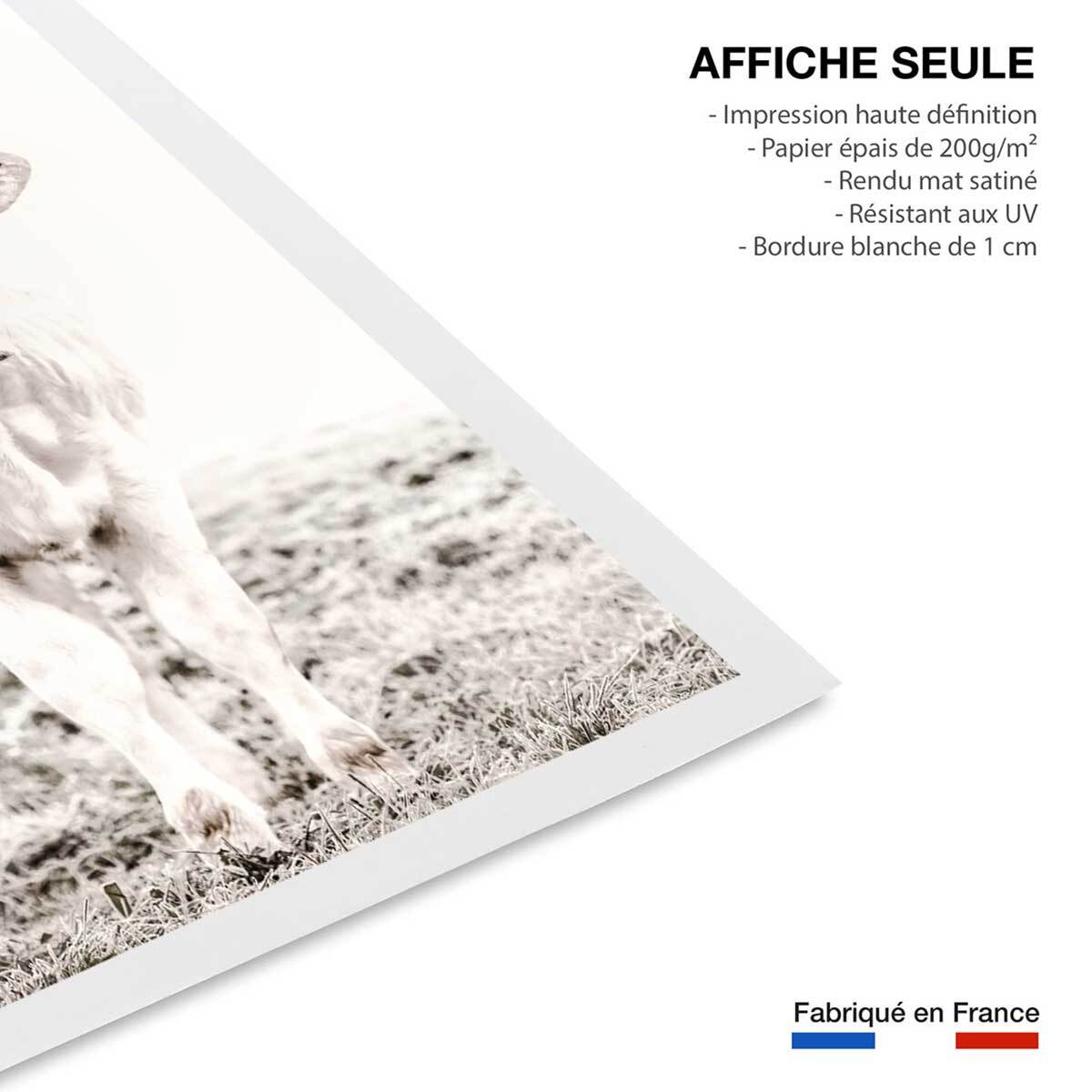 Affiche enfant veau  Affiche seule