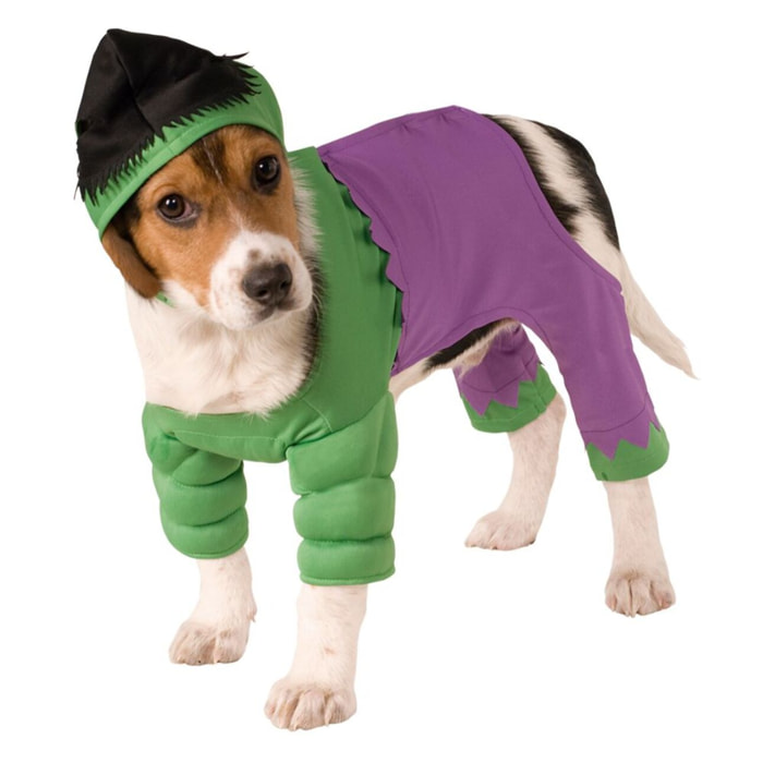DISFRAZ HULK MASCOTA
