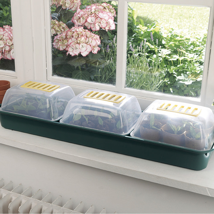 Pack 3 Mini Invernaderos Para Semillas Grow Window 66x18x9 Cm