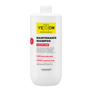 ALFAPARF Yellow Color Care Maintenance Shampoo 1000ml