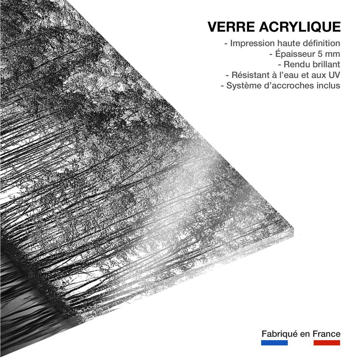 Tableau nature pointillisme Tableau plexiglas