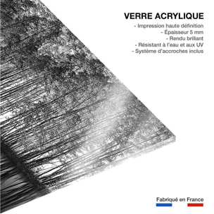 Tableau nature pointillisme Tableau plexiglas