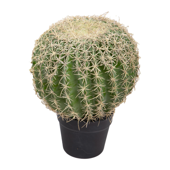 Echinocactus con vaso - Pezzi 1 - Colore: Verde - Bianchi Dino