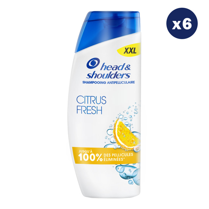 6 Shampoings Citrus Fresh 625ml - Head & Shoulders