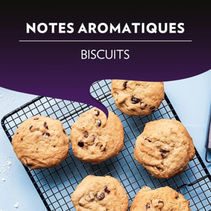 Intenso x10.  Capsules compatibles Nespresso en aluminium