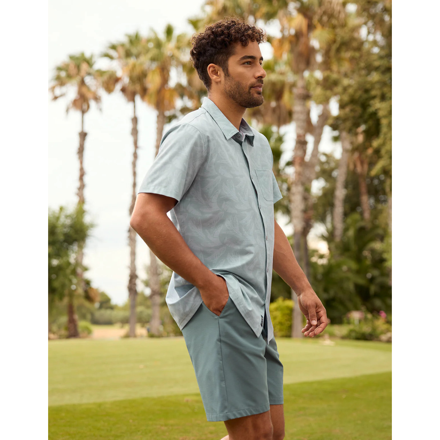 Camisa Manga Corta Gris - Sweetpalm