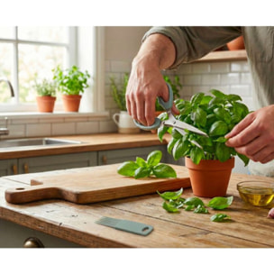 Ciseaux à herbes ESSENTIELB à herbes avec peigne