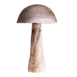 Fungo - Pezzi 1 - 37,5xH60,5x37,5cm - Bianchi Dino SpA