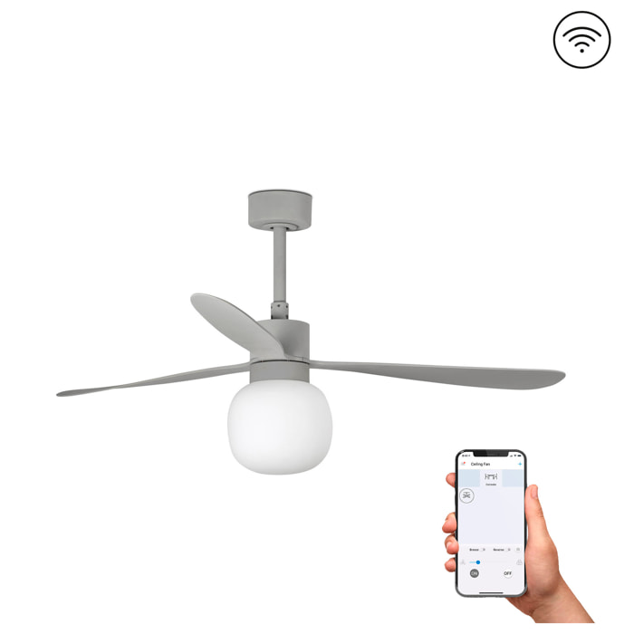 AMELIA L BALL LED Ventilateur de plafond gris TUYA