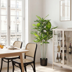 Plante artificielle Calathea H.150cm tronc branches lichen feuilles grand réalisme