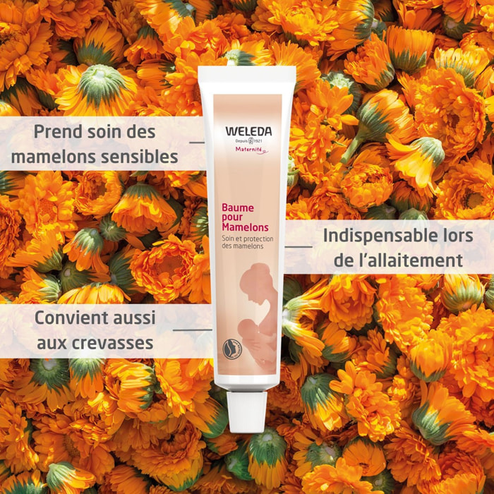 WELEDA - Baume pour Mamelons - 25 g
