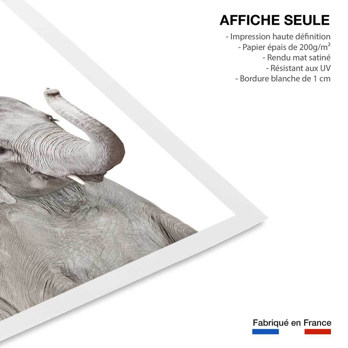 Affiche enfant bébé élephant  Affiche seule