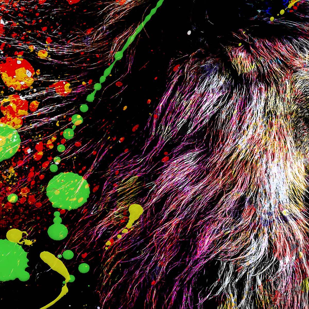 Affiche encadrée lion pop art Affiche + cadre en métal - Noir