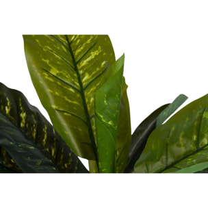 Planta Dieffenbachia Amoena Con Maceta 65x65x135cm