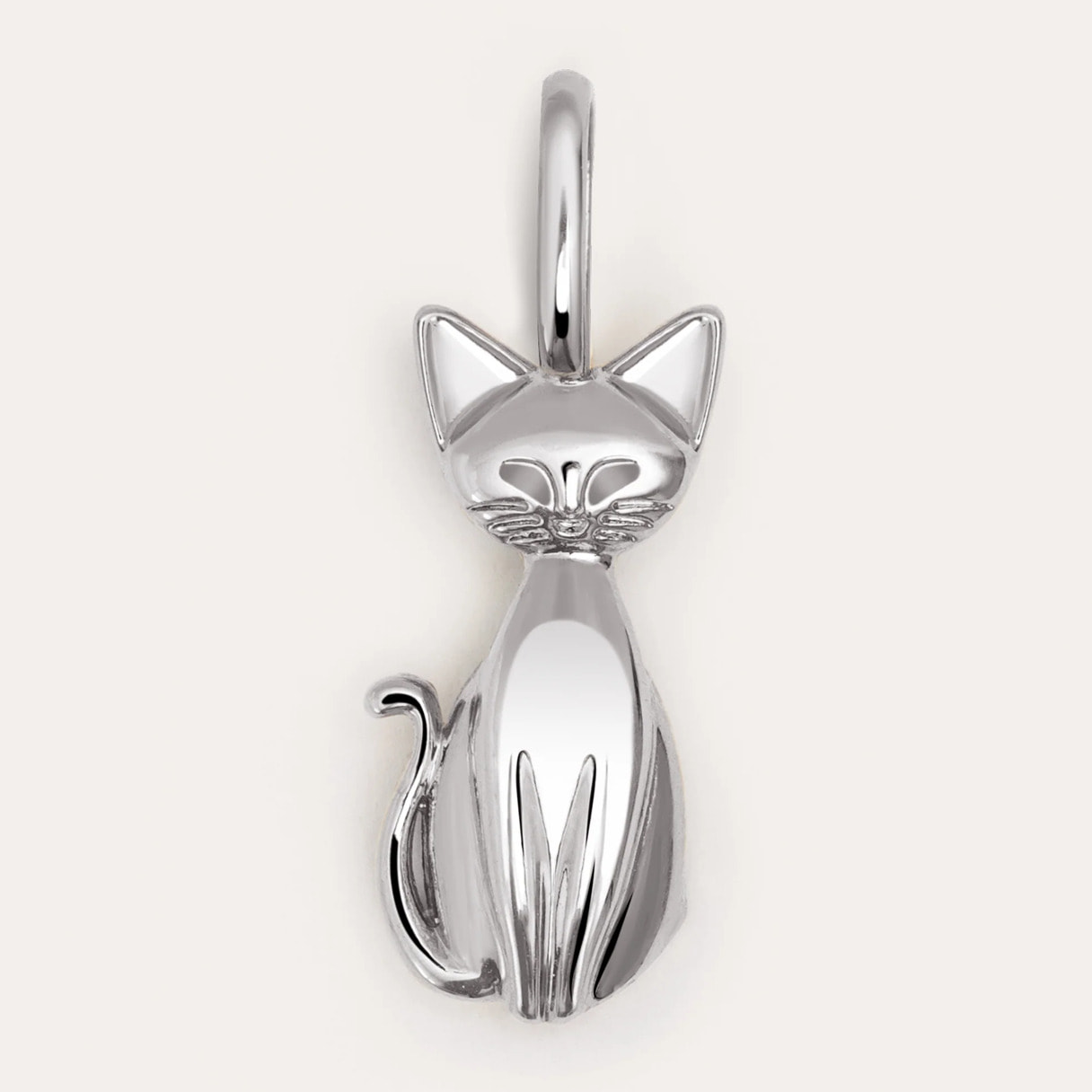 Charm Salem Cat Enamel Gray