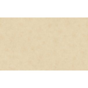 Papier Peint Uni Aspect Patiné - Beige