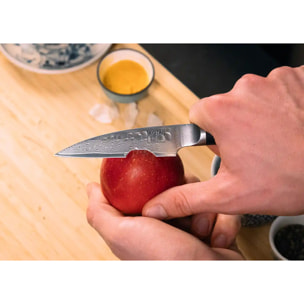 Couteau d'Office | Lame 90 mm | Acier Inoxydable Japonais Damas