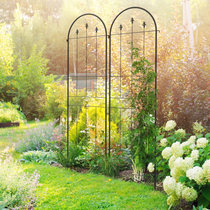 Juego de 2 Enrejados de Jardín, Soportes para Plantas Trepadoras con Marco de Acero, para Frutas, Verduras, Flores, Decoración Exterior para Patio, Terraza, 50x180 cm, Negro