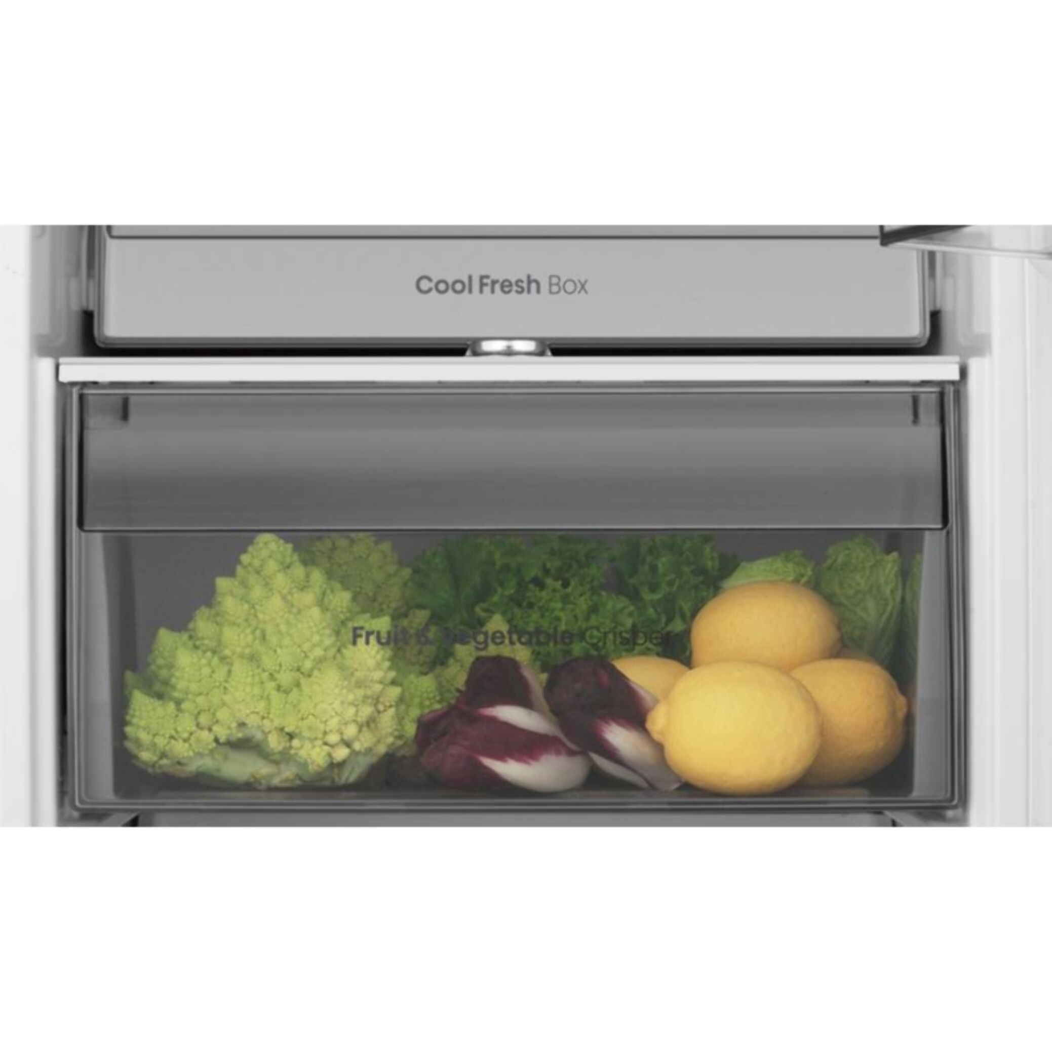 Réfrigérateur 1 porte encastrable HISENSE RL3B303SAWE MetalTechCooling