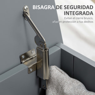 Baúl de Almacenaje para Dormitorio Banco de Almacenaje con Tapa Baúl de Almacenaje Versátil con Bisagra de Seguridad para Pasillo Salón 81x40x46 cm Gris