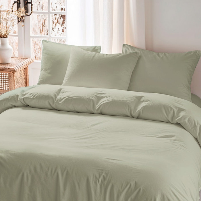 Taie d'oreiller OLIVE