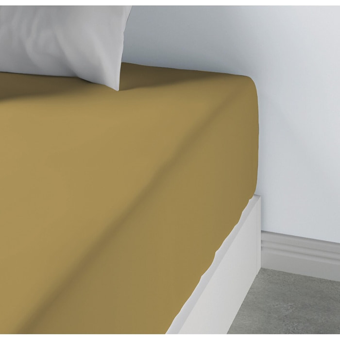 Drap Housse Coton 57fils Uni - Bonnet 35cm Gold