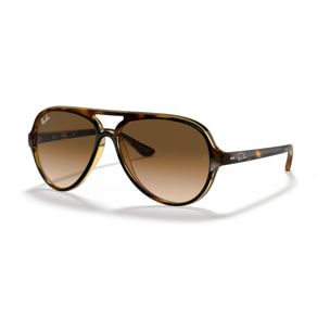Ray-Ban Gafas de sol de aviador modernas RB4125 Cats 5000