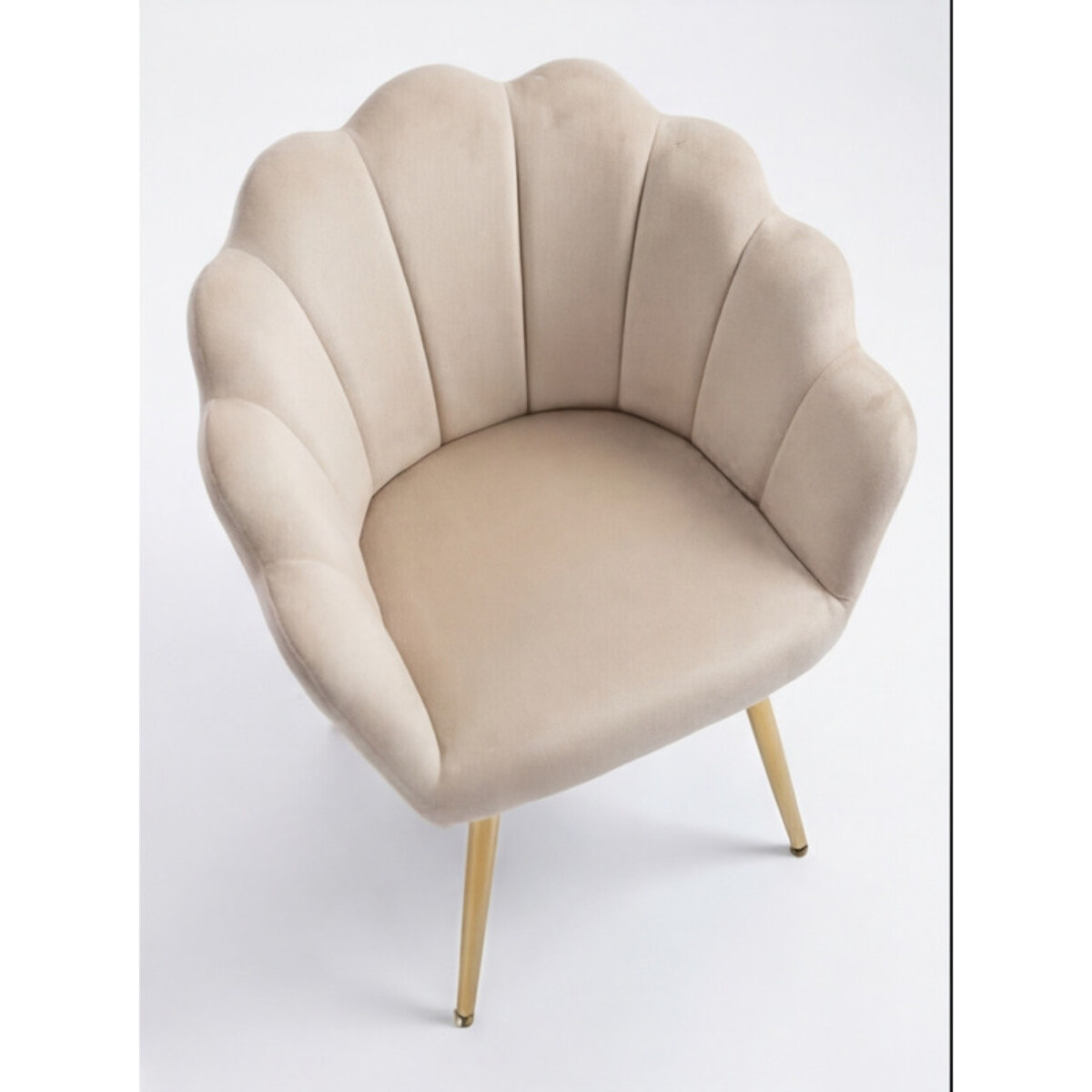 Poltrona in velluto design a conchiglia elegante e moderna, seduta imbottita confortevole con base in legno e gambe in metallo dorato, poltroncina versatile per soggiorno, camera o ufficio, stabile e resistente fino a 100 kg, stile raffinato e decorativo