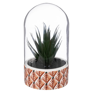 Planta "ali" cloche h21cm