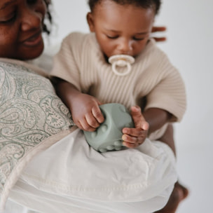 Mushie Pack 2 Dados - Pop It Solid