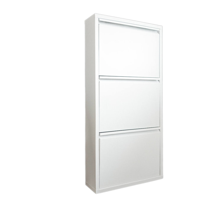 Scarpiera Alexa, Mobile portascarpe in metallo, Armadio da ingresso multiuso, Mobiletto per calzature, 50x15h104 cm, Bianco