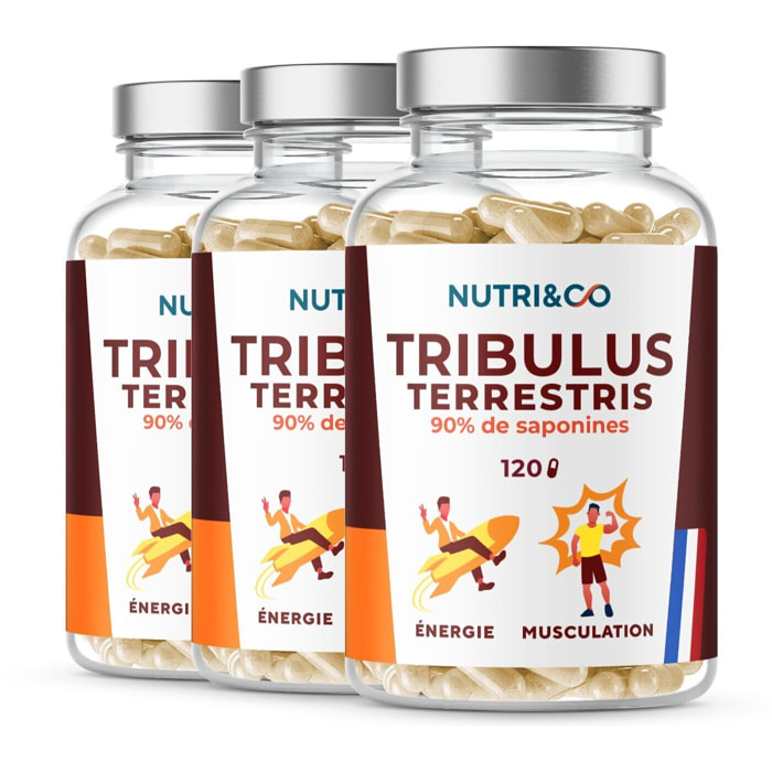Tribulus Terrestris - Extrait 100% Naturel concentré 10:1 - 120 gélules Vegan - Lot de 3