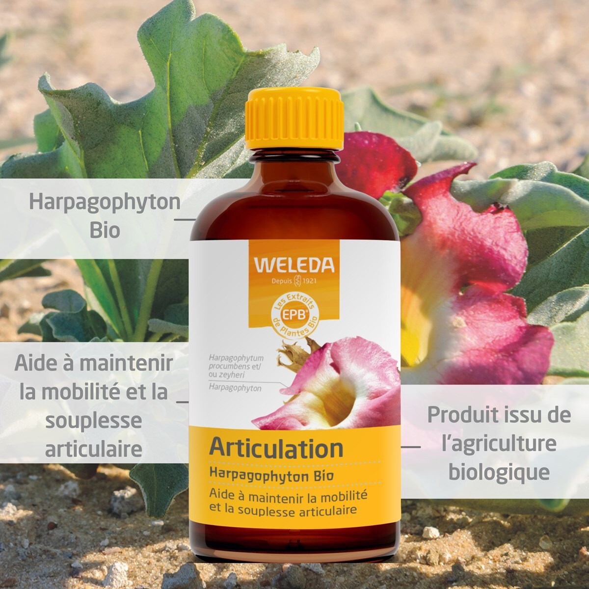 WELEDA -  Duo EPB Harpagophyton Bio - Articulation  2*100 ml