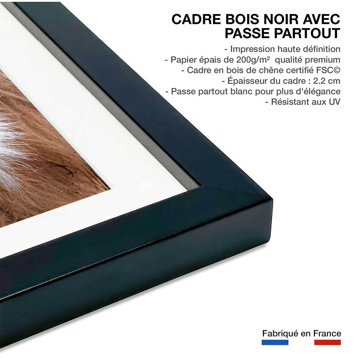 Affiche animaux delice de lion Affiche + cadre en bois - Noir