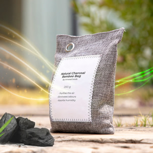 Ensemble de Sacs Purificateurs d’Air avec Charbon Actif Bacoal InnovaGoods (pack de 2)
