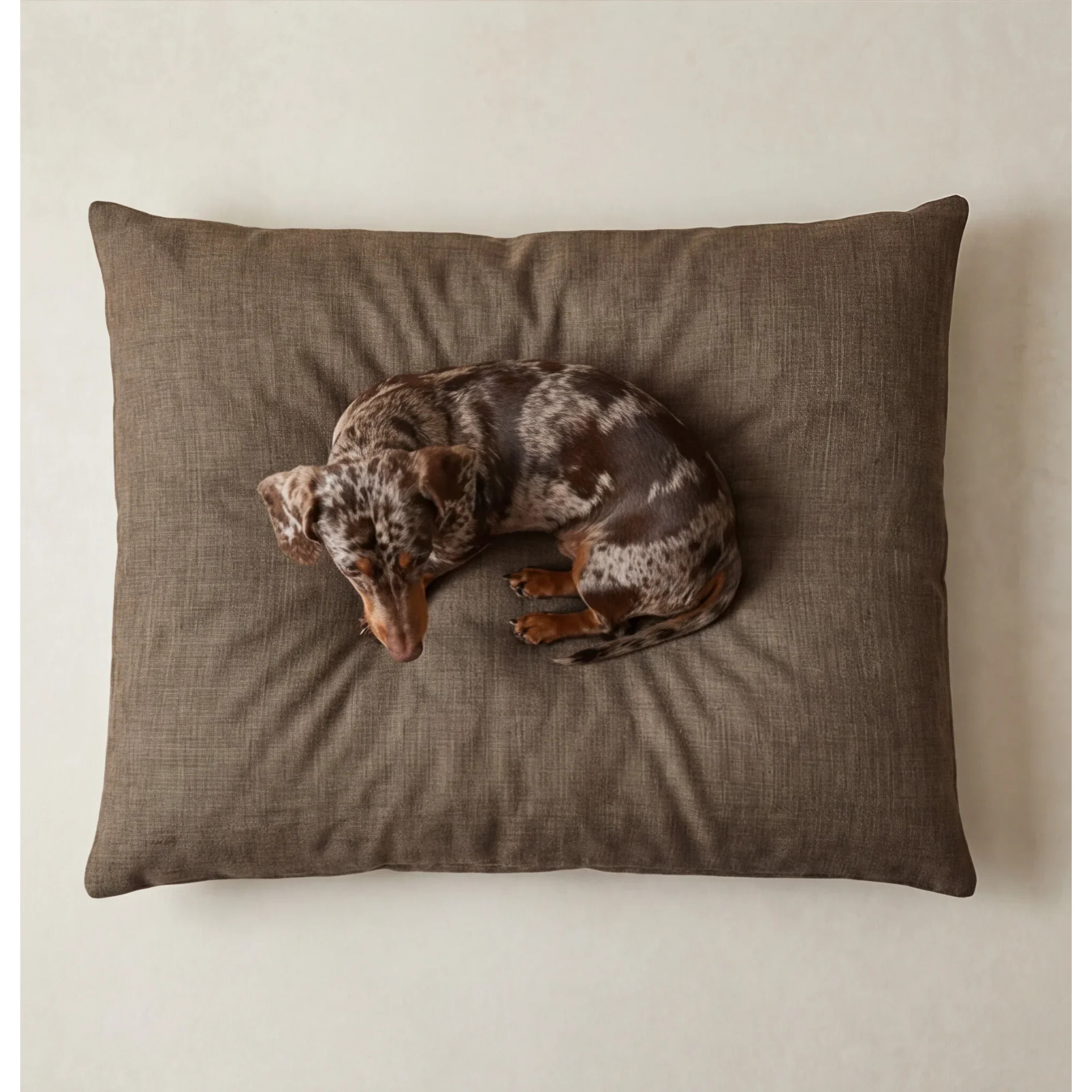 Lit pour animaux déhoussable et antitaches Mocha Marron