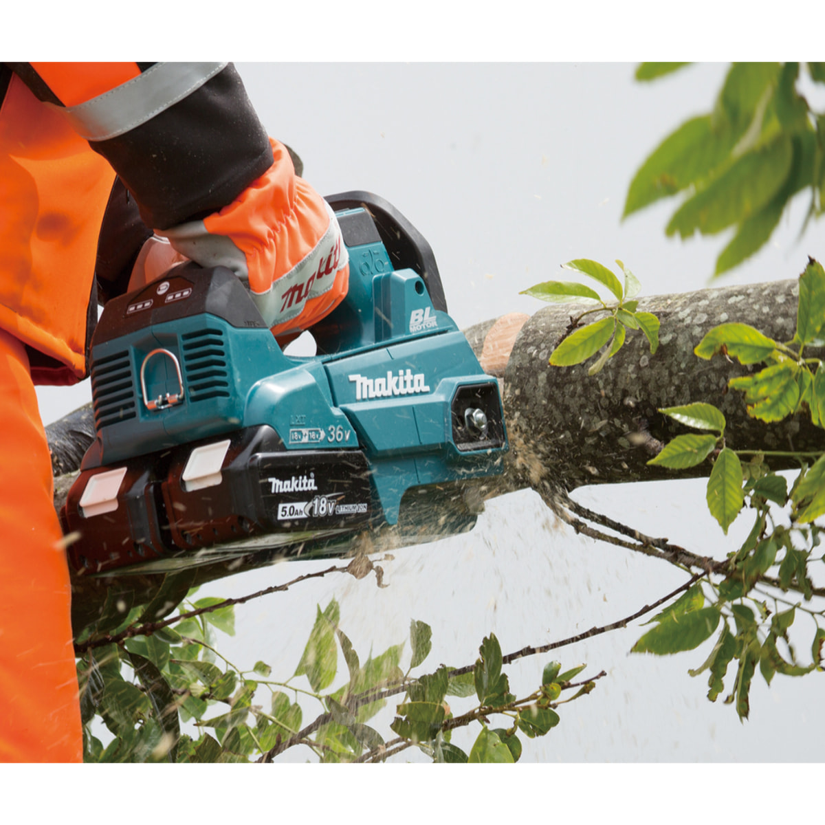 Tronçonneuse d'élagage 36V (2x18V) LXT ® - MAKITA - sans batterie, ni chargeur - DUC306Z001