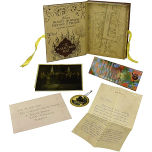 Harry Potter Replica Artefact Box Harry Potter 20 x 28 cm Noble Collection