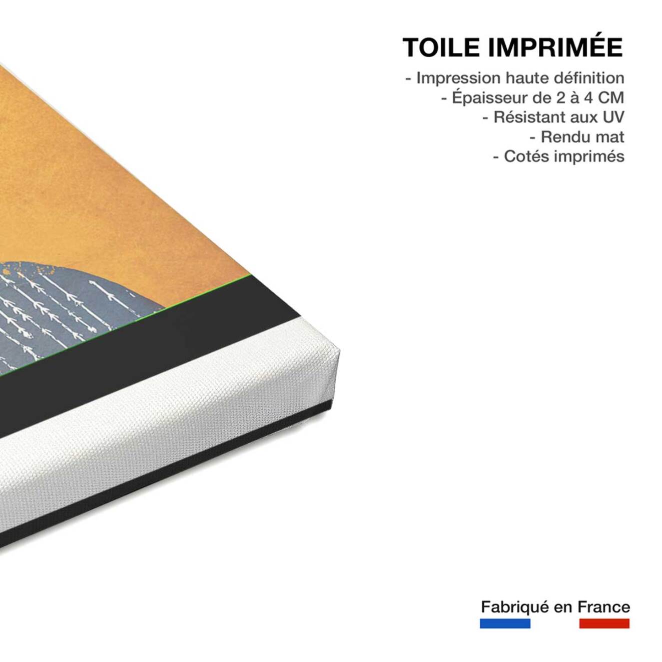 Tableau art frida kalho et sa couronne  Toile imprimée