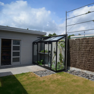 Serre en verre Murale MICCOLO – 2,46 m²