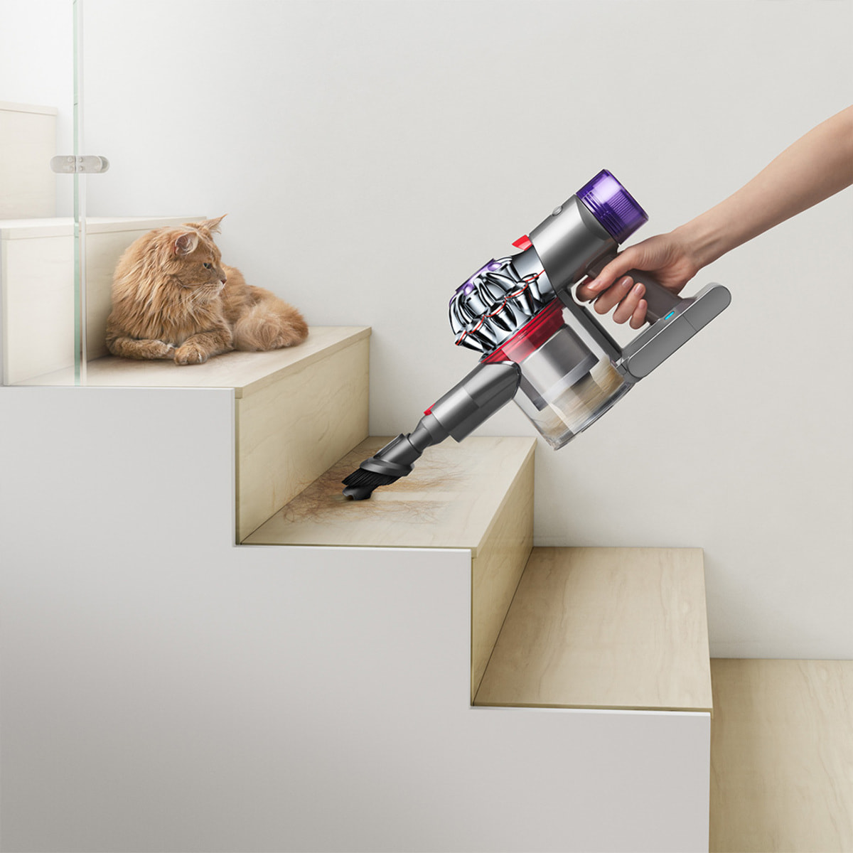 Aspirateur Balai Sans Fil V8™ Advanced - Reconditionné